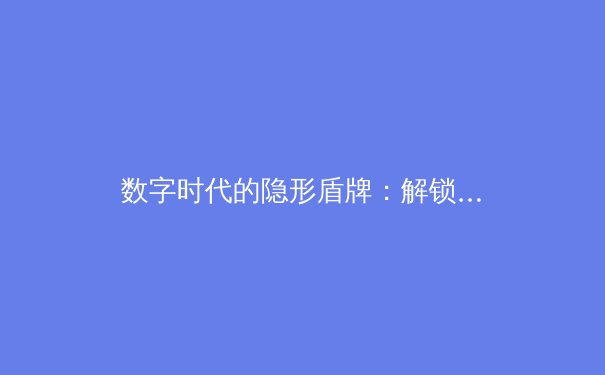 数字时代的隐形盾牌：解锁VPN的七大核心价值与深层应用 - 2