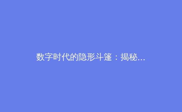 数字时代的隐形斗篷：揭秘VPN如何重塑你的网络生存法则 - 2