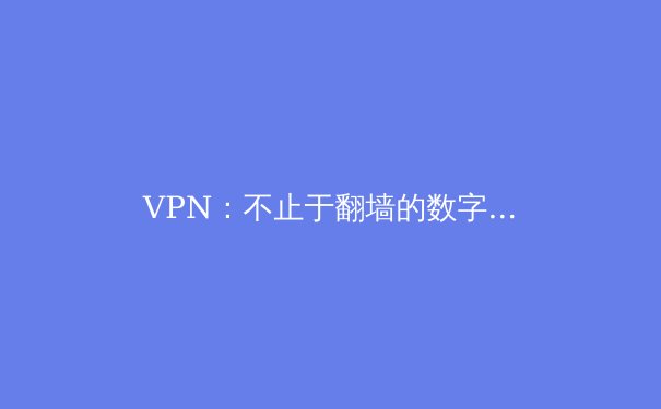 VPN：不止于翻墙的数字护盾，重塑你的网络自由与安全 - 4